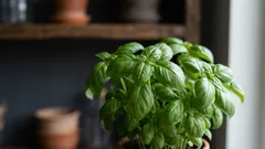 Kräuter drinnen anbauen: Licht, Temperatur und Pflege für frisches Grün das ganze Jahr